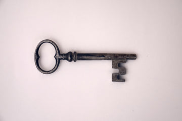 Next Level Shopify: Avoiding Crises with Shopify Backups